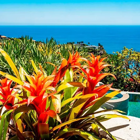 Ourmadeira - Quinta Girassol, Countryside Farmhouse Villa Ponta do Sol (Madeira)